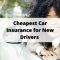 Average Car Insurance Price for New Drivers