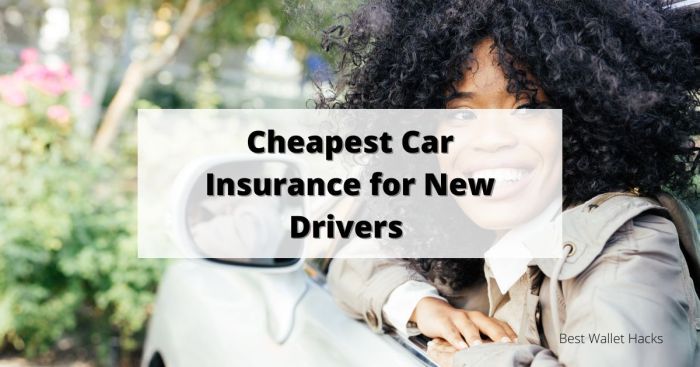 Average car insurance price for new drivers